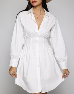 Paloma button down dress