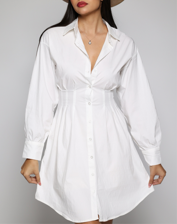 Paloma button down dress