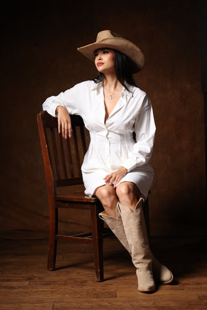 Paloma button down dress