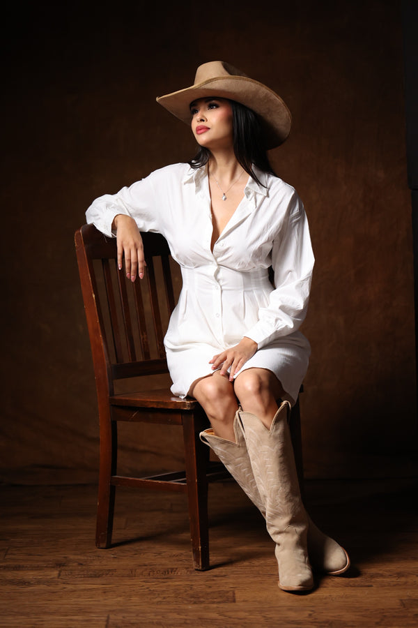 Paloma button down dress