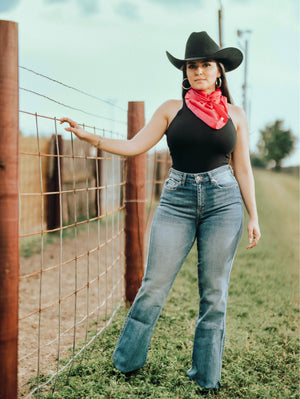 Lucy high rise flare jeans